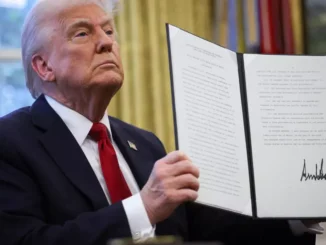 Panneaux solaires droits de douanes Trump Asie du Sud-Est Chine