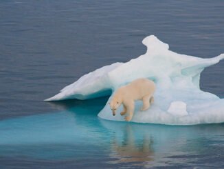 Climat